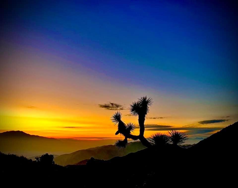 The Joshua Tree House Villa Luaran gambar