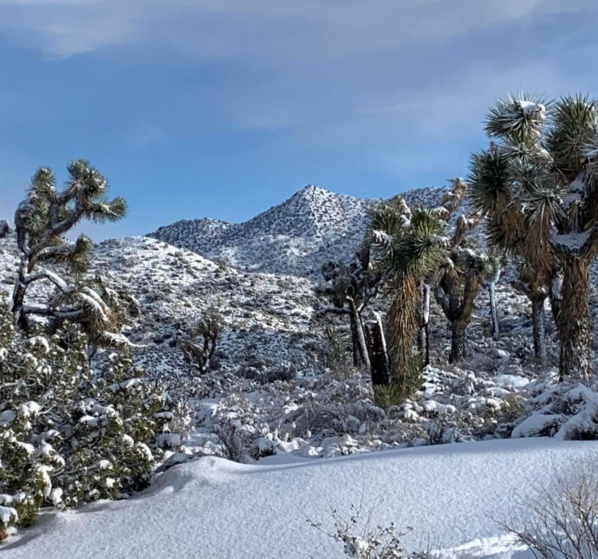 The Joshua Tree House Villa Luaran gambar